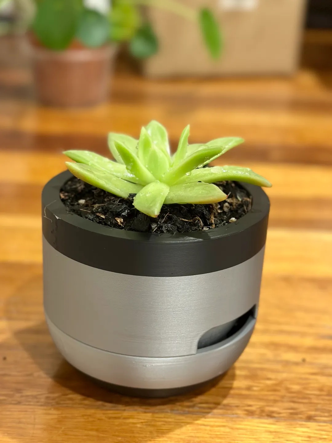 Samonavodnjavajuća Sadnica Nilo - Samozalivajuće saksije i dodaci za biljke, slika 2